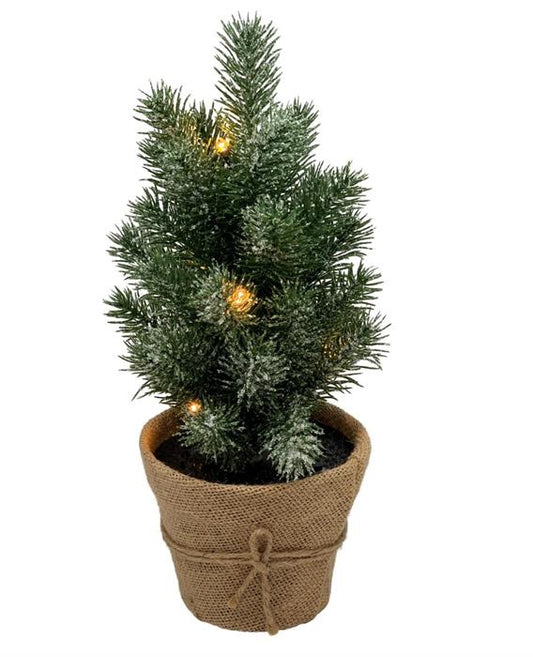 Kleiner beleuchteter Tannenbaum für Indoor