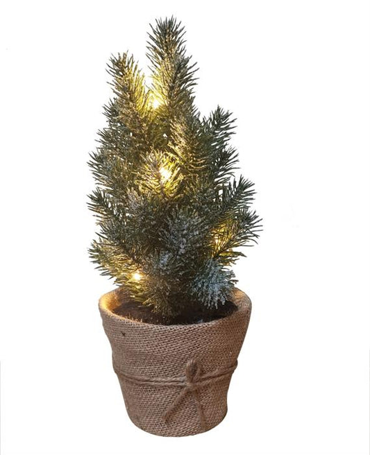 Kleiner beleuchteter Tannenbaum für Indoor
